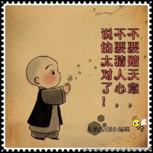 遇到抽查审核不通过怎么情况(图)