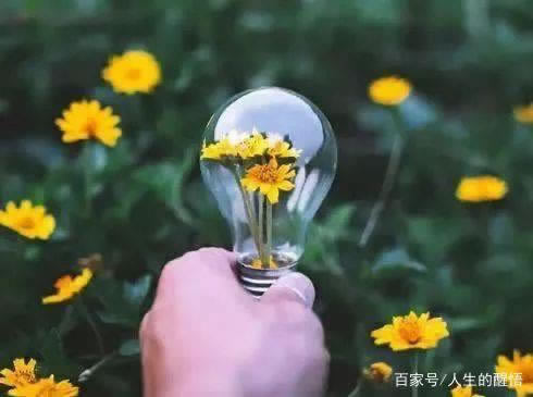 专业处理抽查审核 破解办法(图)
